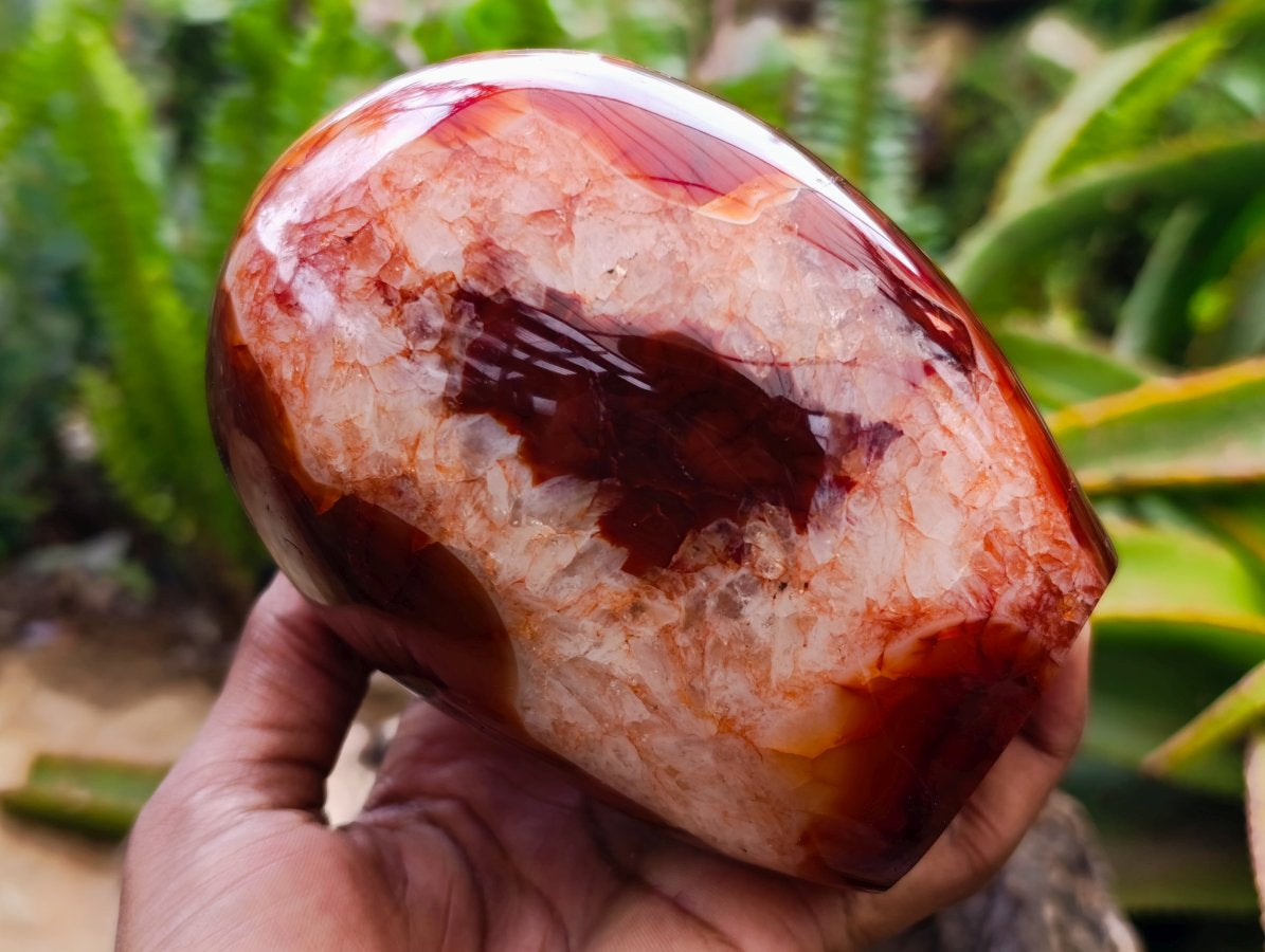 Polished Carnelian Agate Gemstone Standing Free Forms x 1 From Madagascar