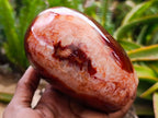 Polished Carnelian Agate Gemstone Standing Free Forms x 1 From Madagascar