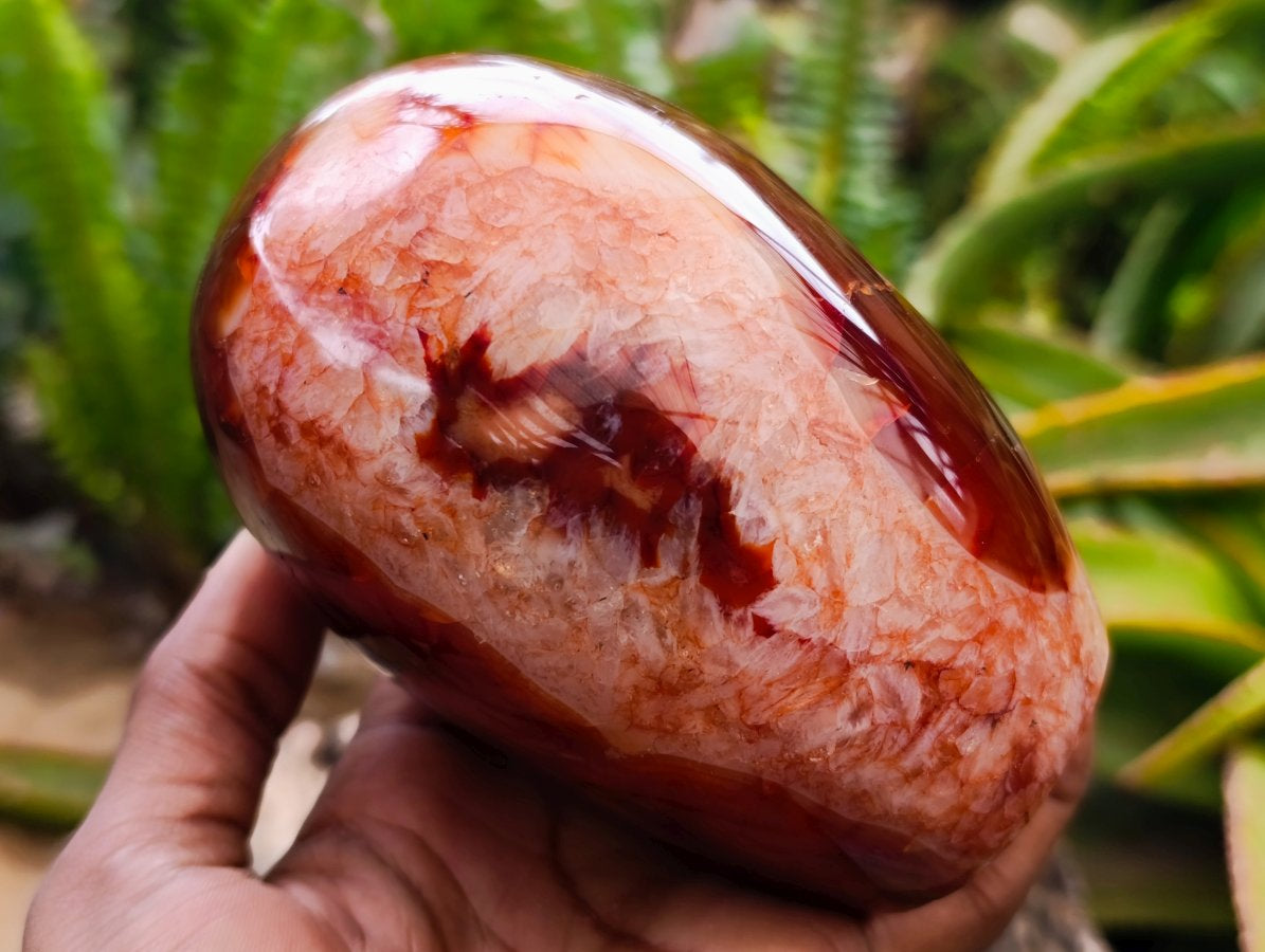 Polished Carnelian Agate Gemstone Standing Free Forms x 1 From Madagascar