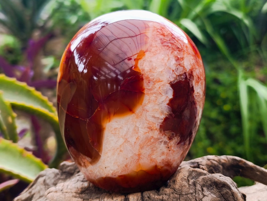 Polished Carnelian Agate Gemstone Standing Free Forms x 1 From Madagascar