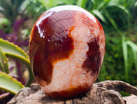 Polished Carnelian Agate Gemstone Standing Free Forms x 1 From Madagascar