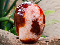 Polished Carnelian Agate Gemstone Standing Free Forms x 1 From Madagascar