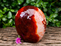 Polished Carnelian Agate Gemstone Standing Free Forms x 1 From Madagascar
