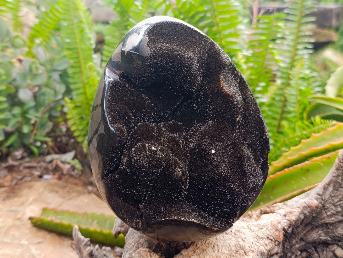 Polished Septerye Sauvage "Dragons Egg" Geode x 1 From Mahajanga, Madagascar
