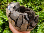 Polished Septerye Sauvage "Dragons Egg" Geode x 1 From Mahajanga, Madagascar
