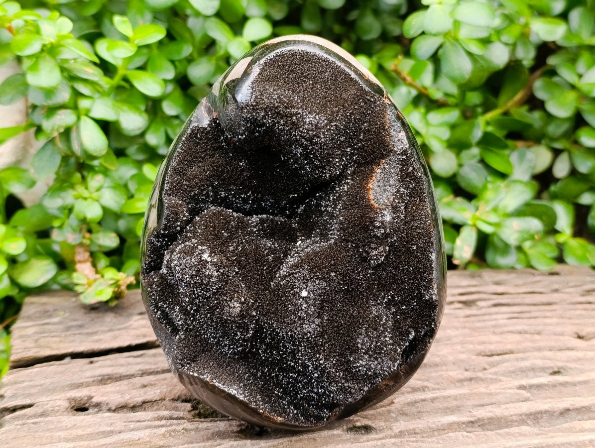 Polished Septerye Sauvage "Dragons Egg" Geode x 1 From Mahajanga, Madagascar