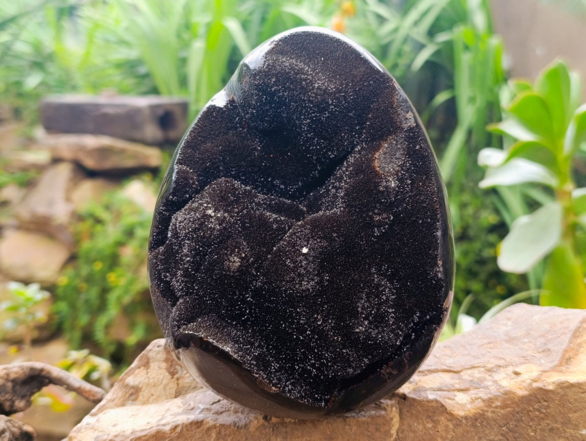 Polished Septerye Sauvage "Dragons Egg" Geode x 1 From Mahajanga, Madagascar