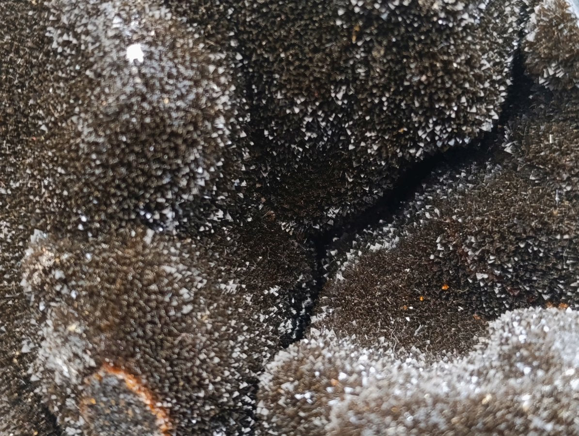 Polished Septerye Sauvage "Dragons Egg" Geode x 1 From Mahajanga, Madagascar