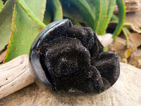 Polished Septerye Sauvage "Dragons Egg" Geode x 1 From Mahajanga, Madagascar