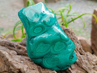 Polished Flower Banded Malachite Free Forms x 3 From Congo