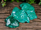 Polished Flower Banded Malachite Free Forms x 3 From Congo