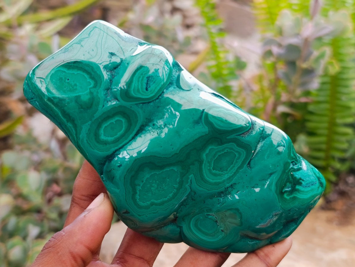 Polished Flower Banded Malachite Free Forms x 3 From Congo