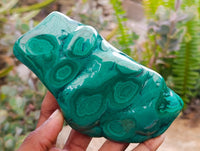 Polished Flower Banded Malachite Free Forms x 3 From Congo