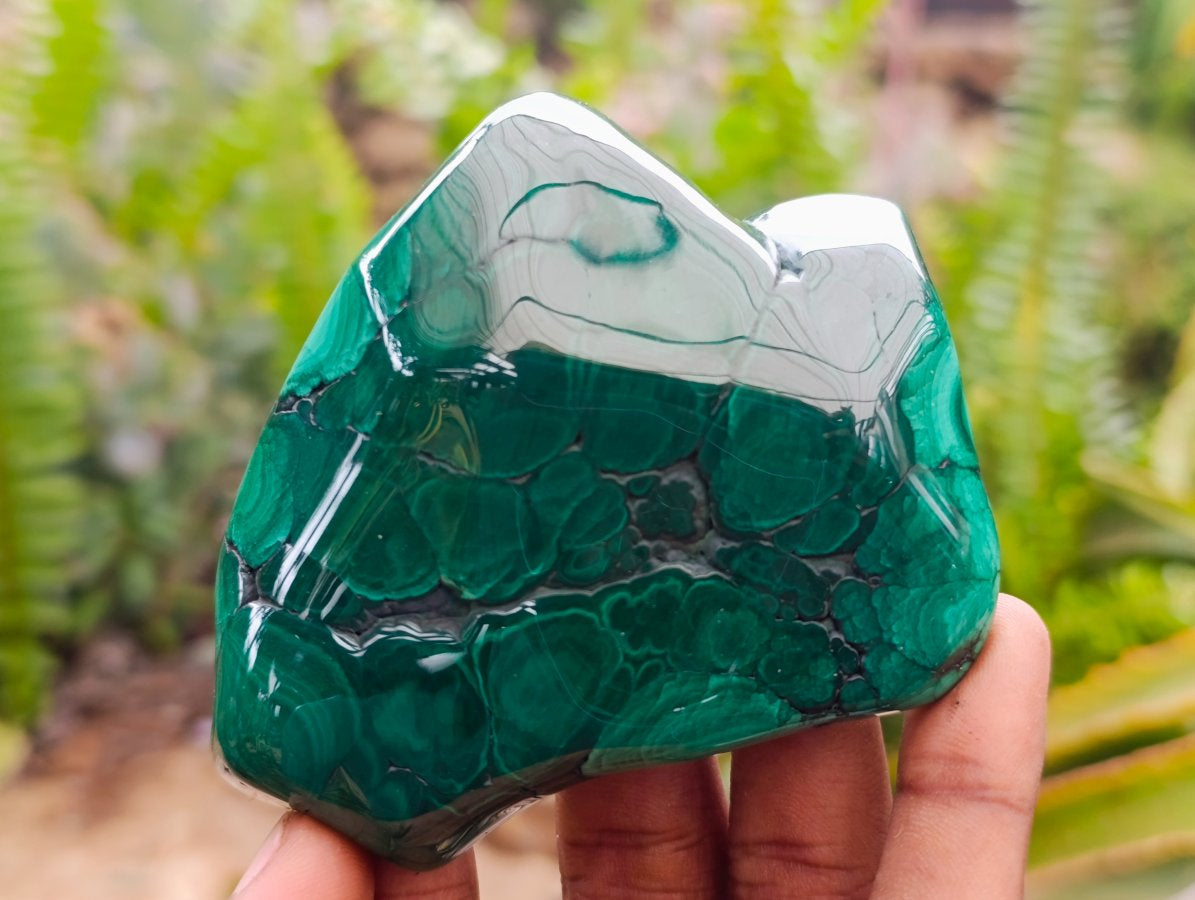 Polished Flower Banded Malachite Free Forms x 3 From Congo