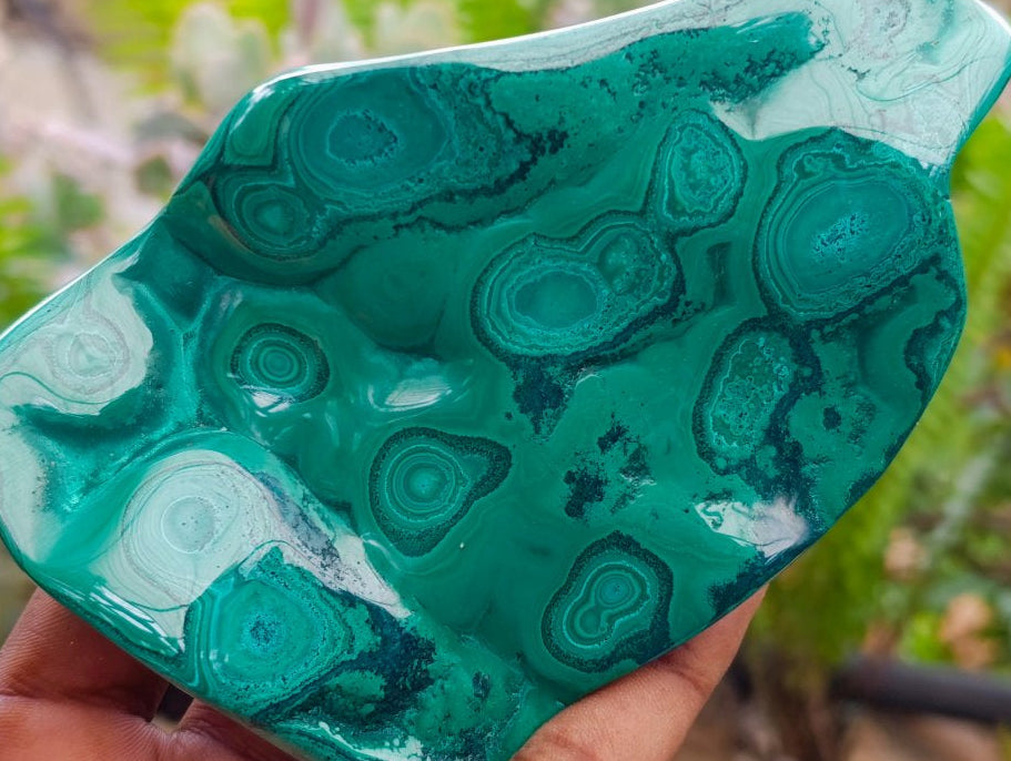 Polished Flower Banded Malachite Free Forms x 3 From Congo