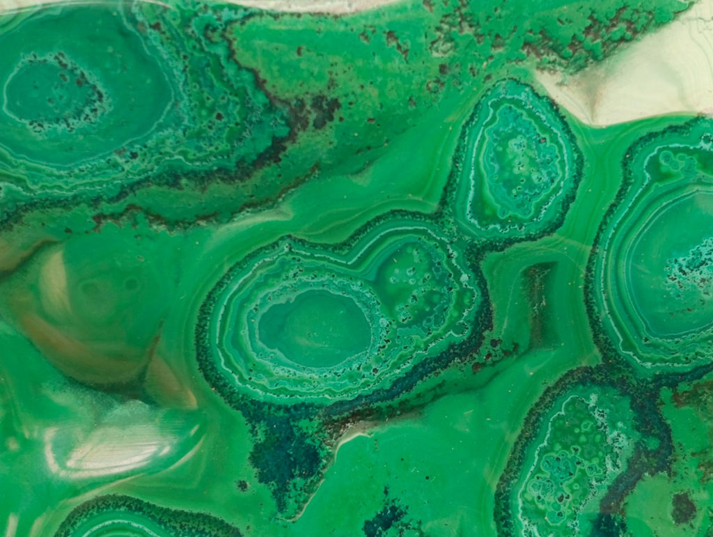 Polished Flower Banded Malachite Free Forms x 3 From Congo