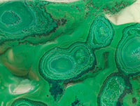 Polished Flower Banded Malachite Free Forms x 3 From Congo