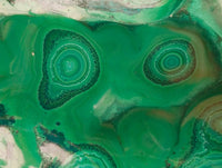 Polished Flower Banded Malachite Free Forms x 3 From Congo