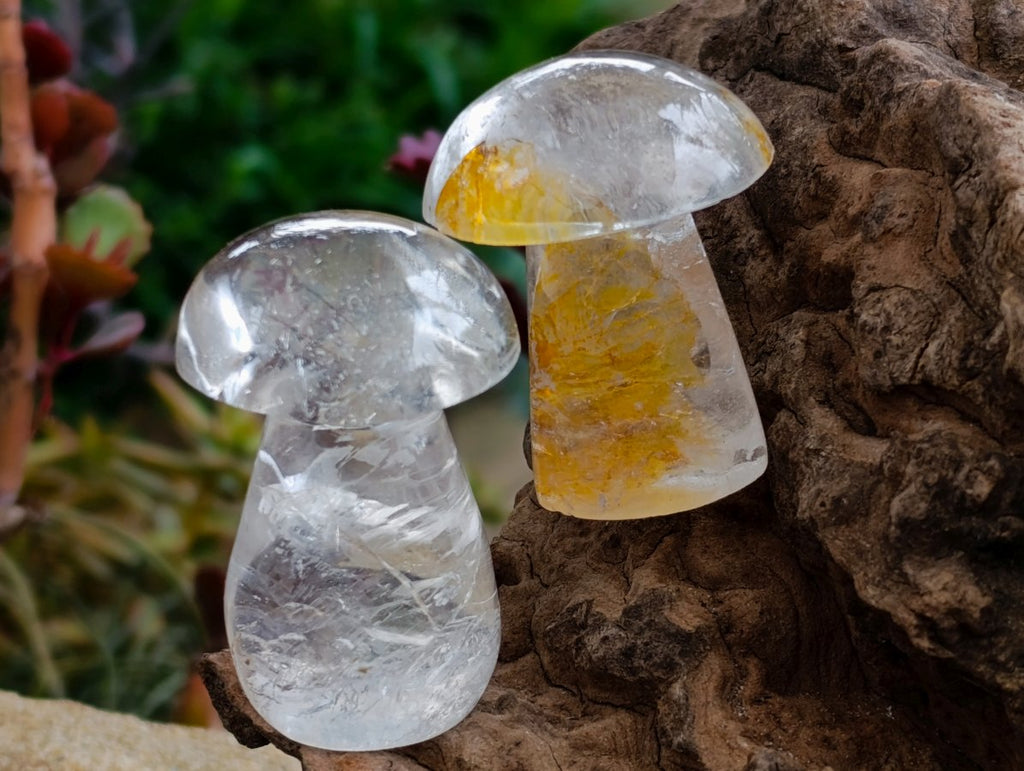 Polished Clear Quartz Mushrooms x 13 Madagascar