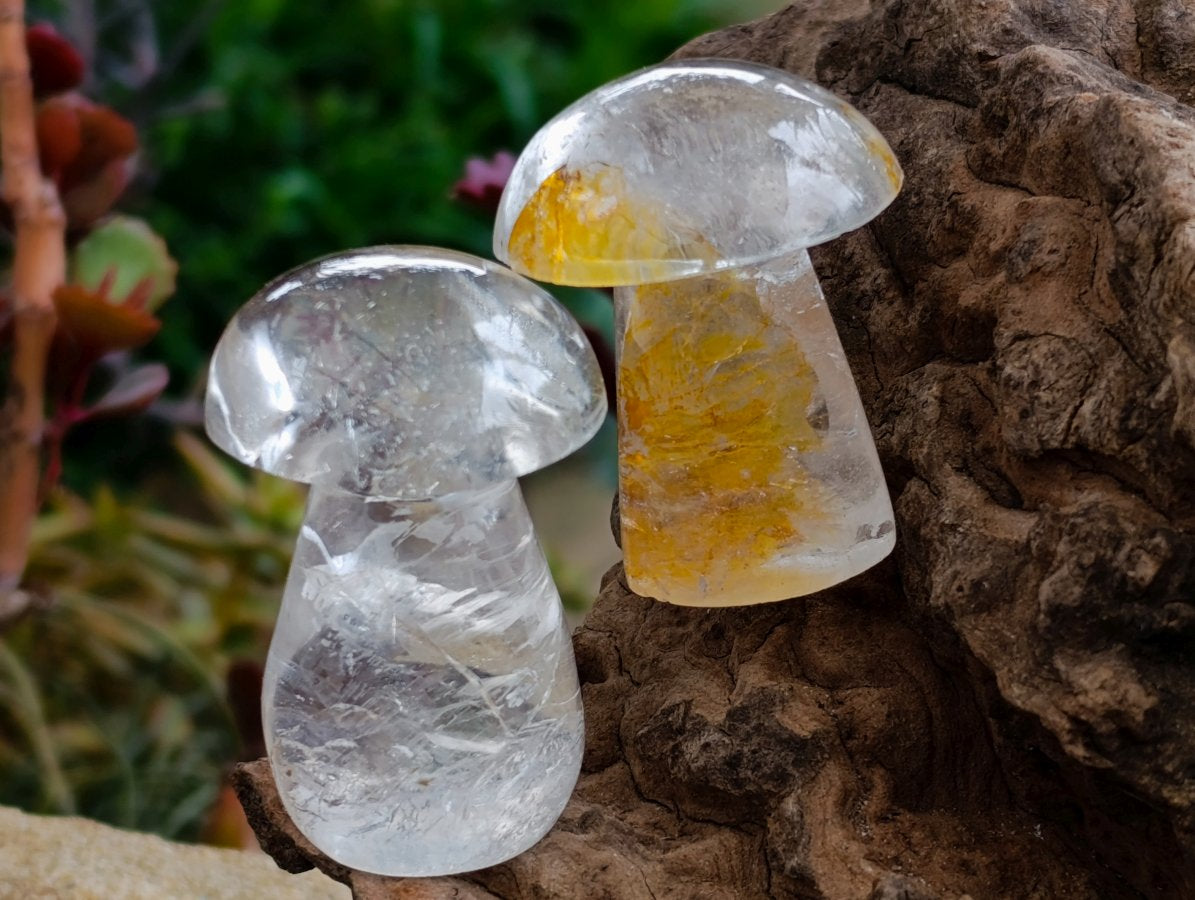 Polished Clear Quartz Mushrooms x 13 Madagascar