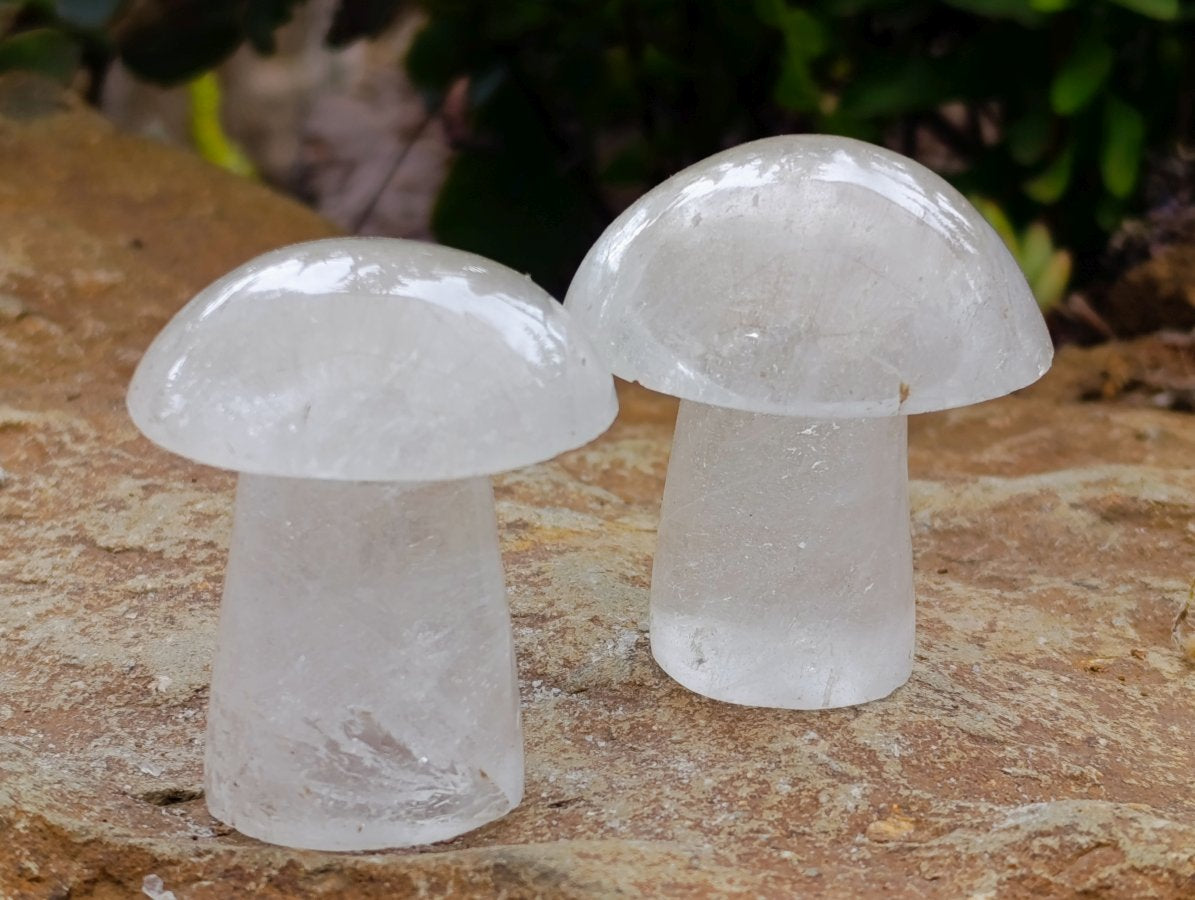 Polished Clear Quartz Mushrooms x 13 Madagascar