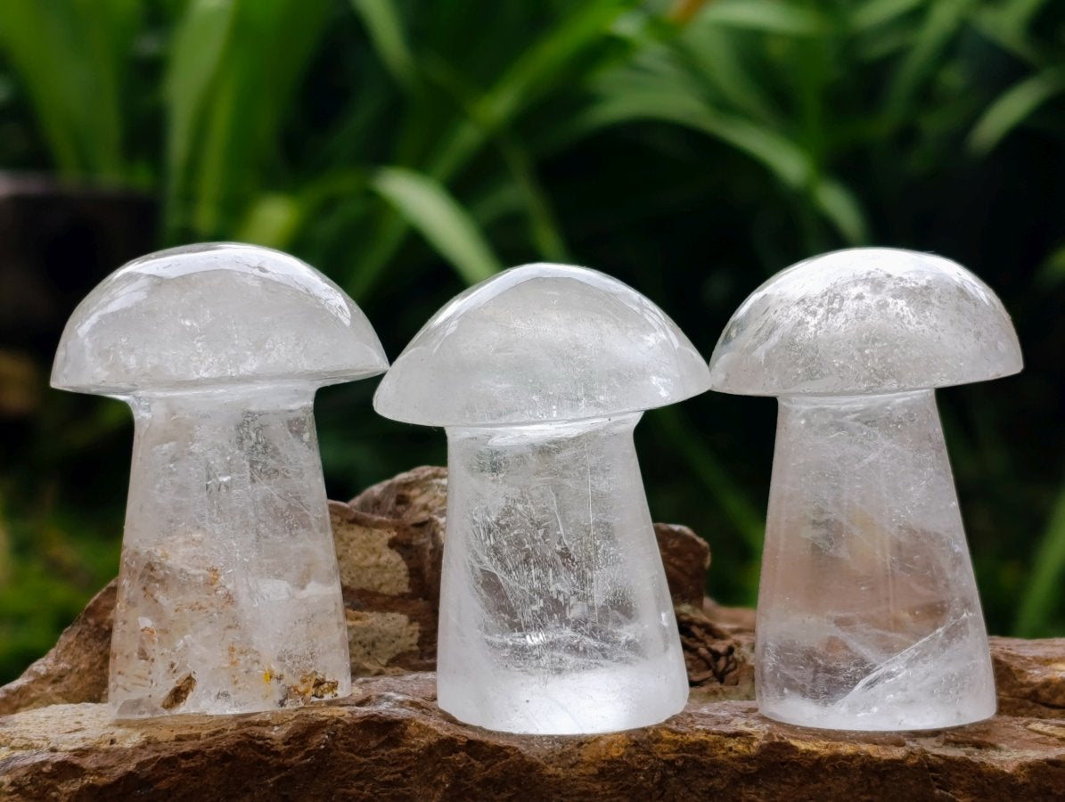 Polished Clear Quartz Mushrooms x 13 Madagascar
