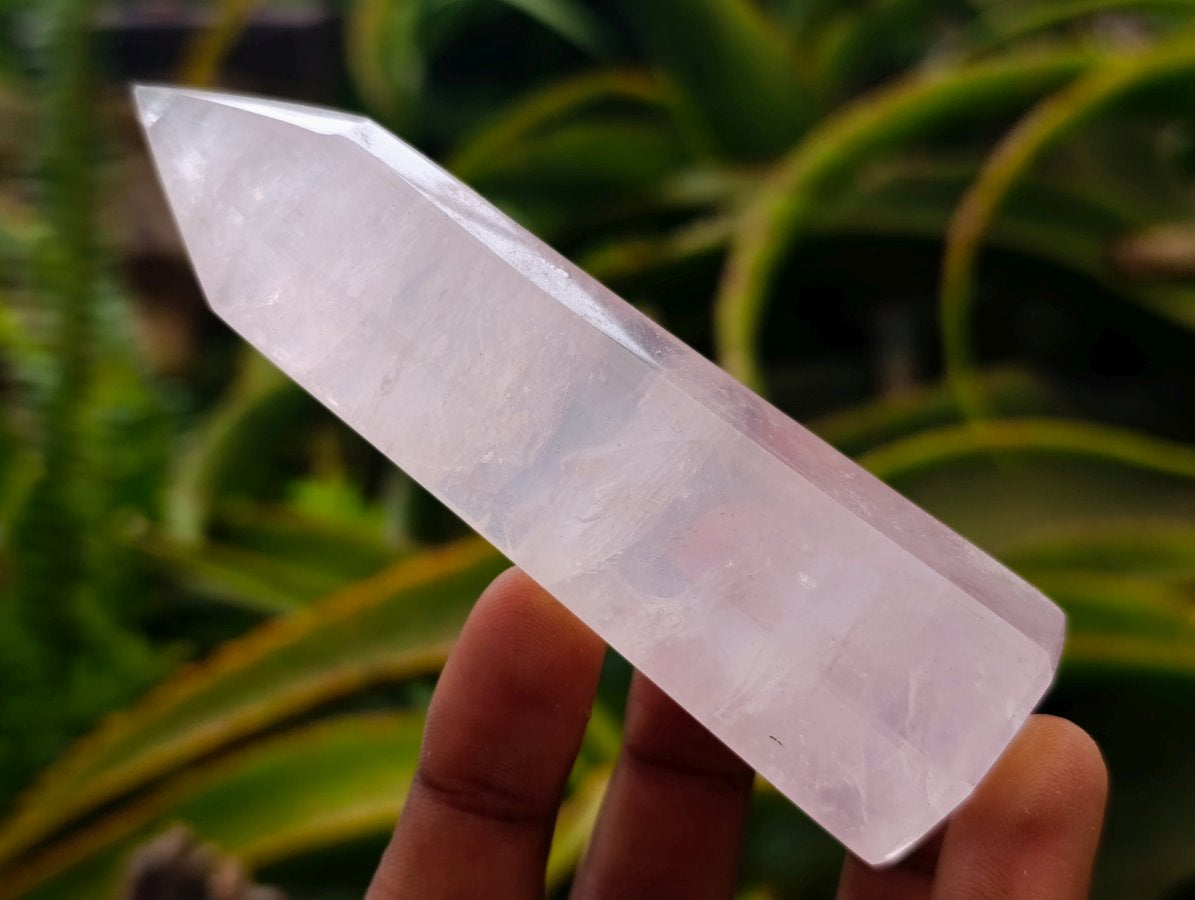 Polished Gemmy Rose Quartz Crystals x 15 From Madagascar