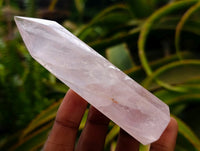 Polished Gemmy Rose Quartz Crystals x 15 From Madagascar