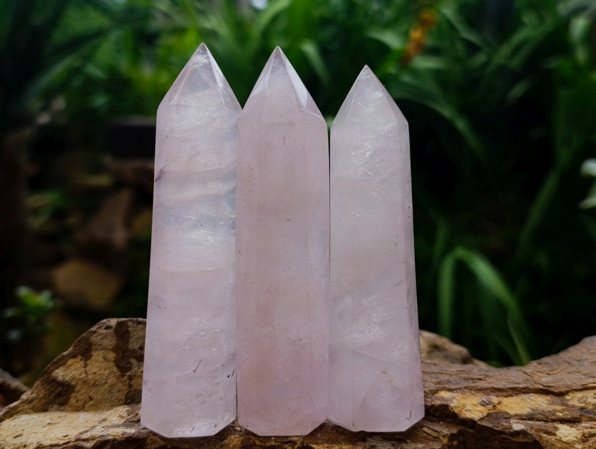 Polished Gemmy Rose Quartz Crystals x 15 From Madagascar