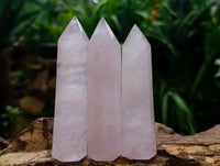 Polished Gemmy Rose Quartz Crystals x 15 From Madagascar