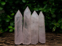 Polished Gemmy Rose Quartz Crystals x 15 From Madagascar