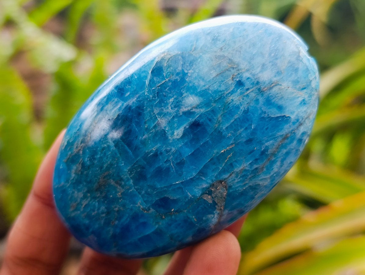 Polished Mixed Multi Mineral Palm Stones x 12 From Madagascar