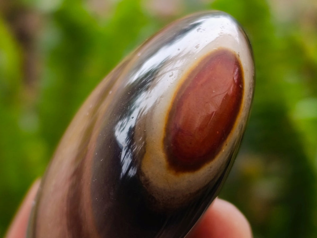 Polished Mixed Multi Mineral Palm Stones x 12 From Madagascar