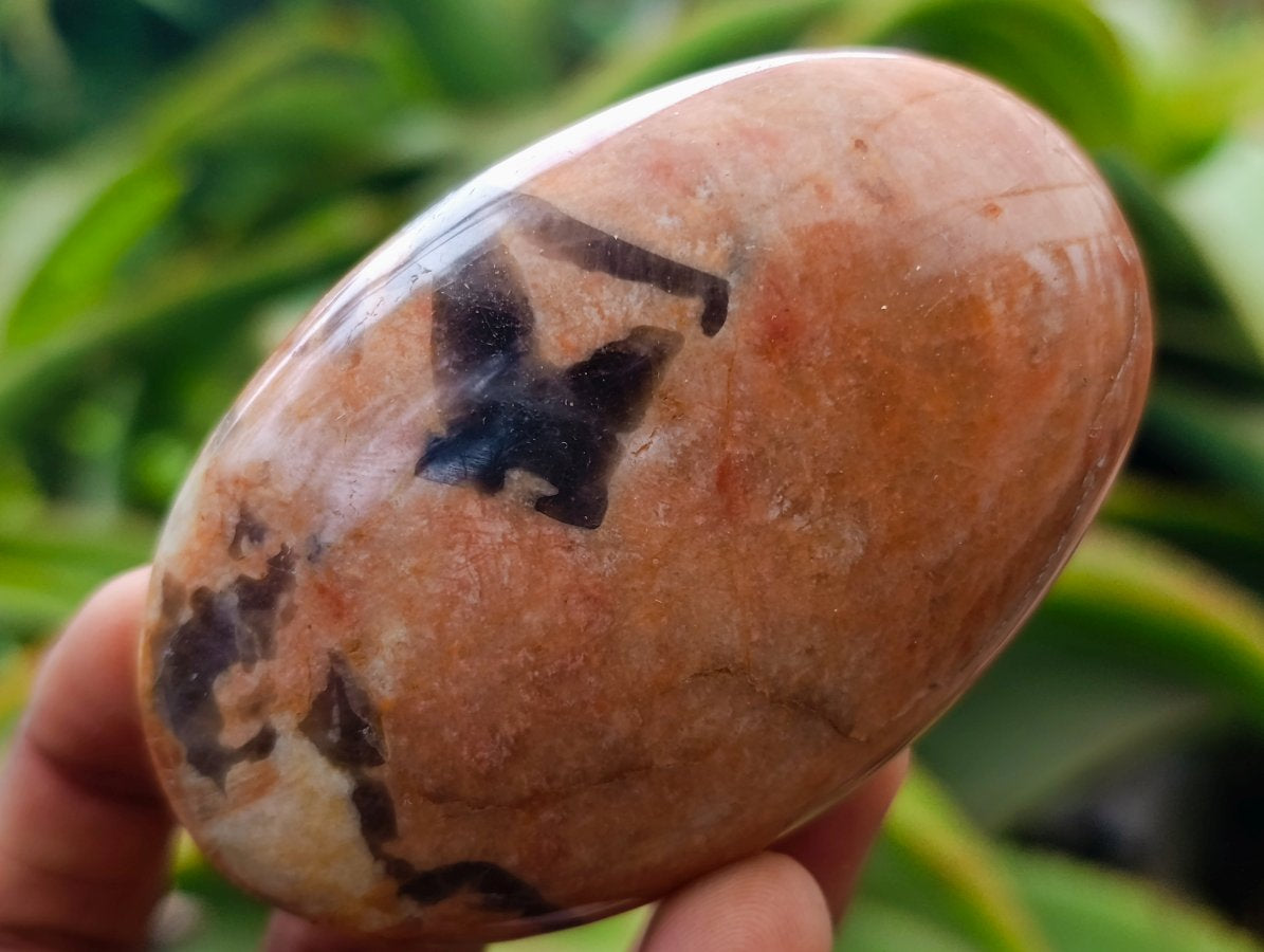 Polished Mixed Multi Mineral Palm Stones x 12 From Madagascar