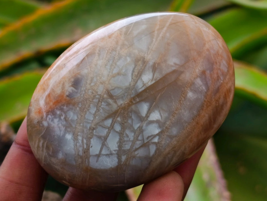 Polished Mixed Multi Mineral Palm Stones x 12 From Madagascar