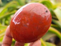 Polished Mixed Multi Mineral Palm Stones x 12 From Madagascar