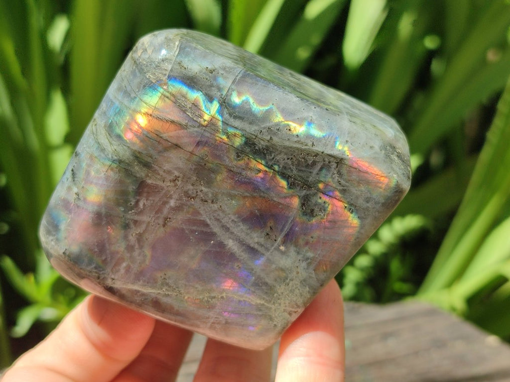 Polished Rare Purple Sunset Flash Labradorite Standing Free Forms x 6 From Madagascar