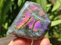 Polished Rare Purple Sunset Flash Labradorite Standing Free Forms x 6 From Madagascar