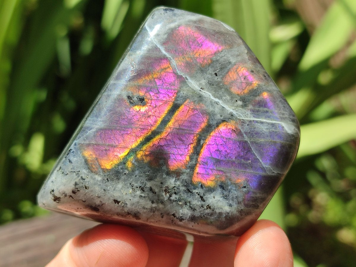 Polished Rare Purple Sunset Flash Labradorite Standing Free Forms x 6 From Madagascar