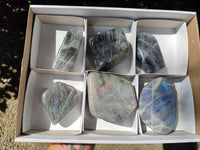 Polished Rare Purple Sunset Flash Labradorite Standing Free Forms x 6 From Madagascar