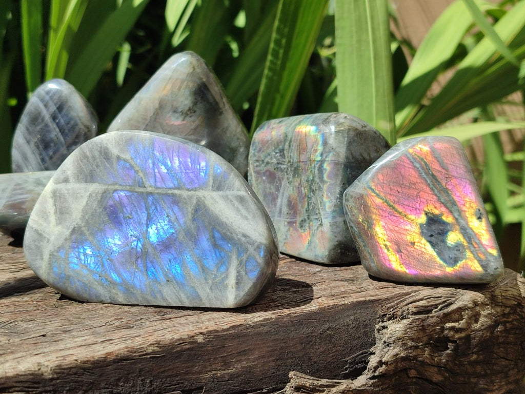 Polished Rare Purple Sunset Flash Labradorite Standing Free Forms x 6 From Madagascar