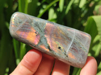 Polished Rare Purple Sunset Flash Labradorite Standing Free Forms x 6 From Madagascar