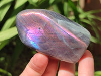 Polished Rare Purple Sunset Flash Labradorite Standing Free Forms x 6 From Madagascar