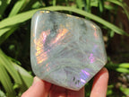 Polished Rare Purple Sunset Flash Labradorite Standing Free Forms x 6 From Madagascar