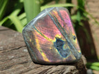 Polished Rare Purple Sunset Flash Labradorite Standing Free Forms x 6 From Madagascar