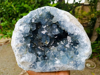 Natural Blue Celestite Geode Specimens x 1 From Sakoany, Madagascar