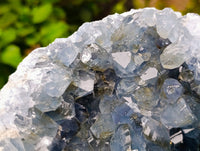 Natural Blue Celestite Geode Specimens x 1 From Sakoany, Madagascar