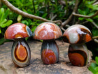 Polished Polychrome Jasper Mushrooms x 12 From NW Coast, Madagascar