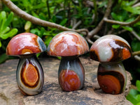 Polished Polychrome Jasper Mushrooms x 12 From NW Coast, Madagascar