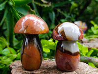 Polished Polychrome Jasper Mushrooms x 12 From NW Coast, Madagascar